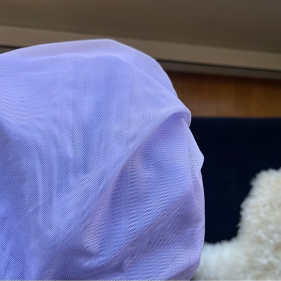 Zara Lilac & Beige Ruched Draped Mesh Mini Dress - Picture 14 of 15